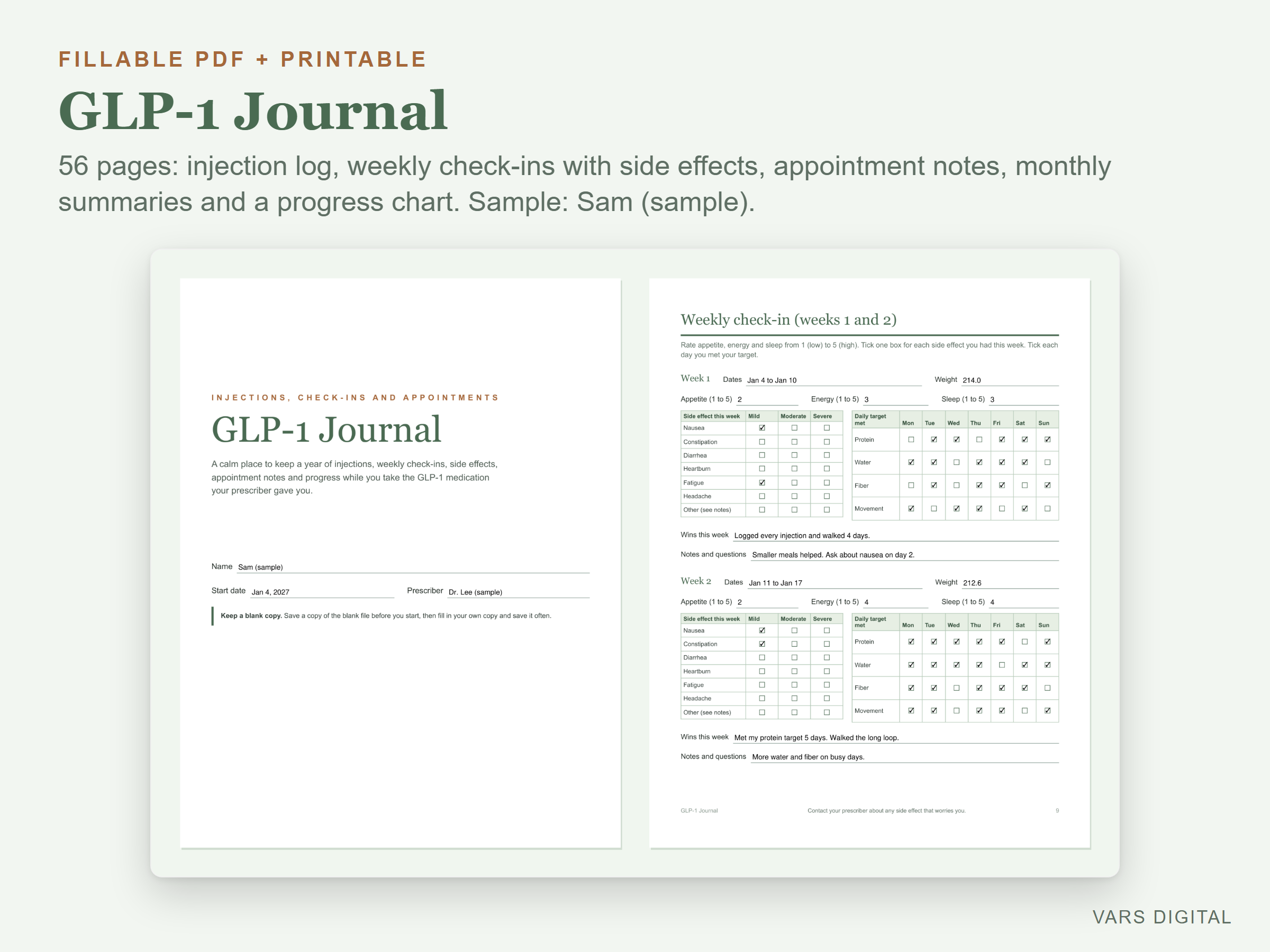 GLP-1 Journal (Fillable PDF) preview