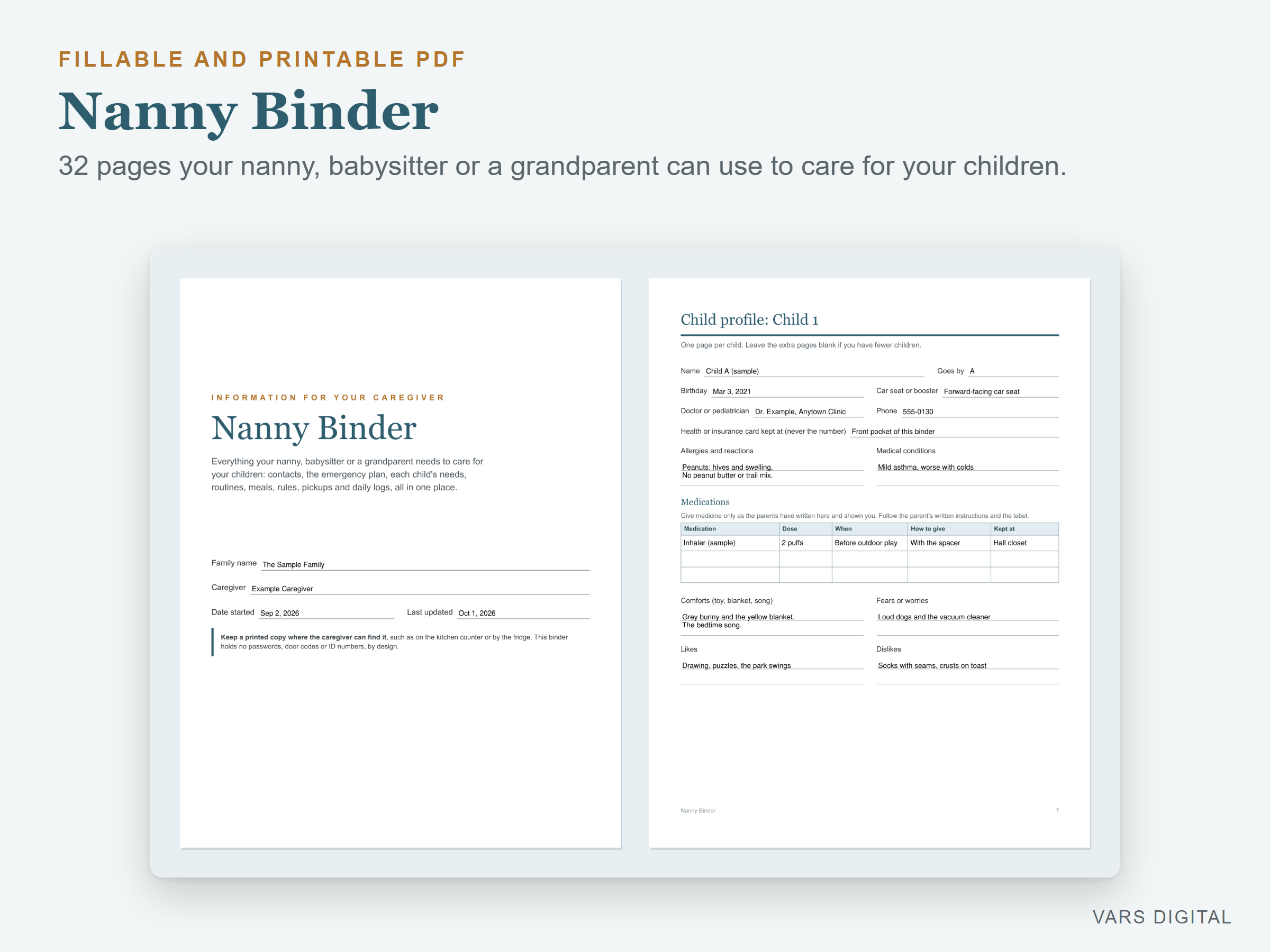 Nanny Binder (Fillable PDF) preview
